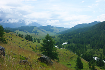 Image showing Mountain Altai summer valley in mountain with wood