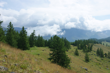 Image showing Beautiful landscape of the nature Mountain Altai summer