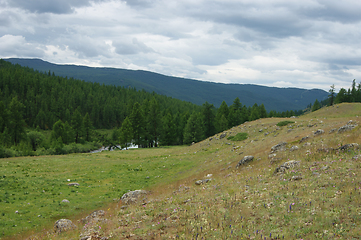 Image showing Colorful year landscape with mountain and wood