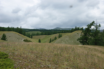 Image showing Colorful year landscape with mountain and wood