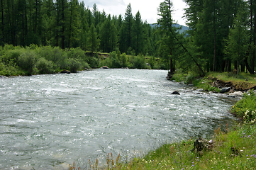 Image showing Colorful type on bugle river and wood