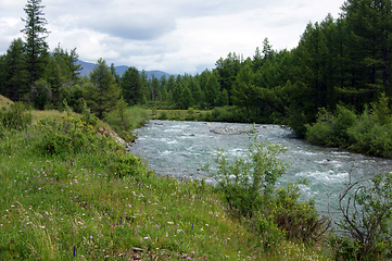 Image showing Tempestuous mountain stream in mountain by summer