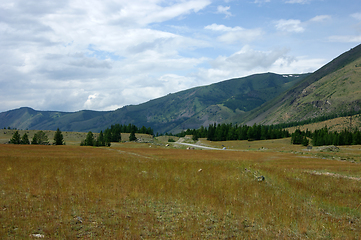 Image showing High mountains and glade with wood year daytime
