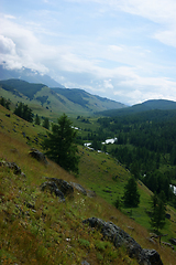 Image showing Nature Republic Altai mountains and wood by summer