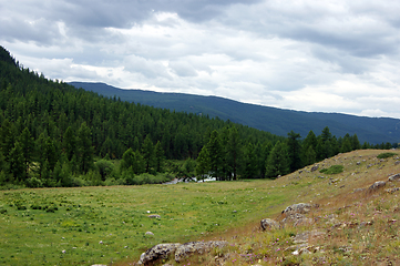 Image showing Colorful year landscape with mountain and wood