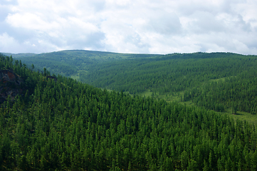 Image showing Landscape of the mountains covered by wood year daytime