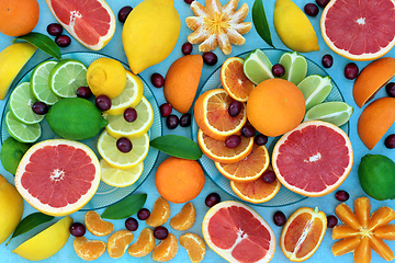 Image showing Sunshine Citrus Fruit High in Antioxidants