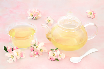 Image showing Apple Blossom Flower Herbal Tea for Good Digestion