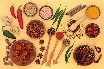 Image showing Fresh and Dried Herb and Spice Collection in Spoons and Bowls