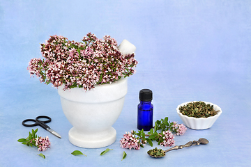 Image showing Oregano Herb Essential Oil to Ease IBS Symptoms