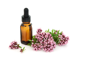 Image showing Oregano Herbal Medicine Essential Oil