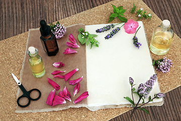 Image showing Naturopathic Herbal Medicine Preparation for Essential Oil