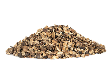 Image showing Burdock Root Herb Herbal Medicine