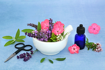 Image showing Homeopathic Herbal Medicine with Summer Flowers and Herbs