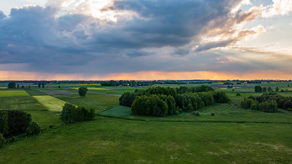 Image showing Field with trees landscape from aerial