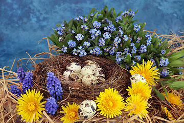 Image showing Healthy Fresh Quail Eggs for Breakfast