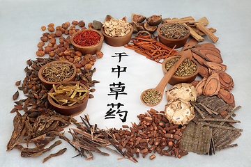 Image showing Dried Chinese Herbs  
