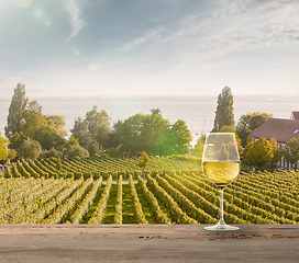 Image showing Glass of wine on wooden rail with country rural scene in background