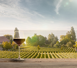 Image showing Glass of wine on wooden rail with country rural scene in background