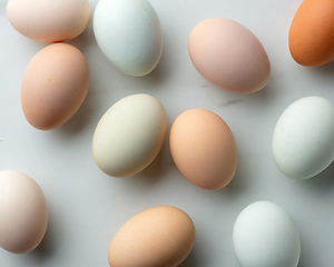 Image showing fresh raw bio eggs