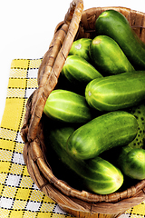 Image showing Fresh Ripe Cucumbers