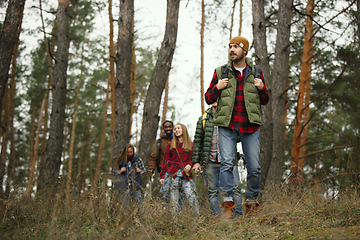 Image showing Group of friends on a camping or hiking trip in autumn day