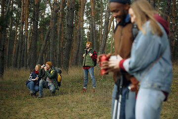 Image showing Group of friends on a camping or hiking trip in autumn day