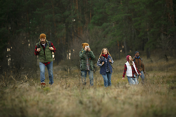 Image showing Group of friends on a camping or hiking trip in autumn day