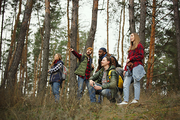 Image showing Group of friends on a camping or hiking trip in autumn day