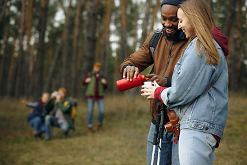 Image showing Group of friends on a camping or hiking trip in autumn day