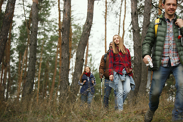 Image showing Group of friends on a camping or hiking trip in autumn day