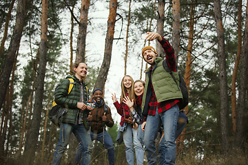 Image showing Group of friends on a camping or hiking trip in autumn day