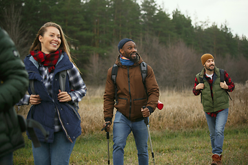 Image showing Group of friends on a camping or hiking trip in autumn day