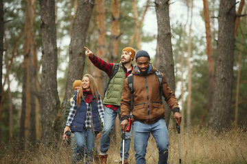 Image showing Group of friends on a camping or hiking trip in autumn day