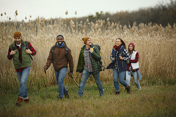 Image showing Group of friends on a camping or hiking trip in autumn day