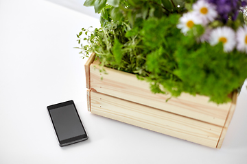 Image showing smartphone with herbs and flowers in box