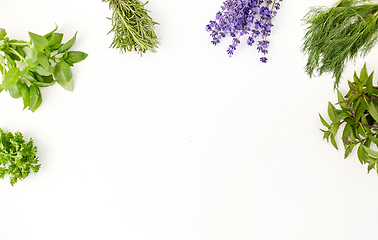 Image showing greens, spices or medicinal herbs on white