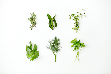 Image showing greens, spices or herbs on white background