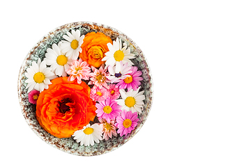 Image showing Variation of flowers in bowl on white background