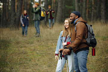 Image showing Group of friends on a camping or hiking trip in autumn day