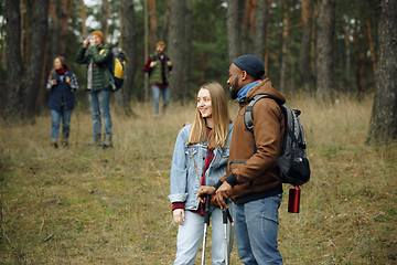 Image showing Group of friends on a camping or hiking trip in autumn day