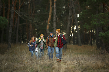 Image showing Group of friends on a camping or hiking trip in autumn day