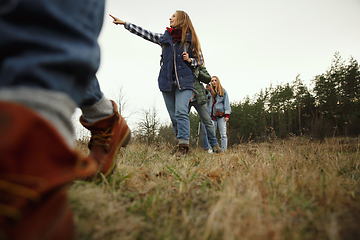 Image showing Group of friends on a camping or hiking trip in autumn day