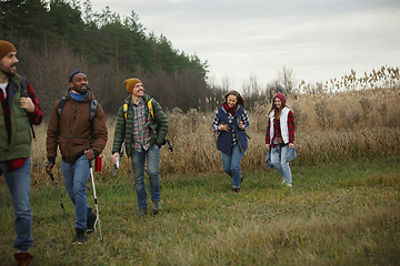 Image showing Group of friends on a camping or hiking trip in autumn day