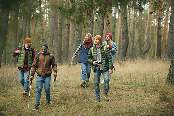 Image showing Group of friends on a camping or hiking trip in autumn day