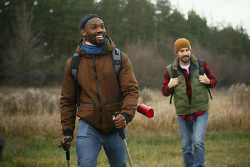 Image showing Group of friends on a camping or hiking trip in autumn day