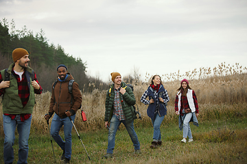 Image showing Group of friends on a camping or hiking trip in autumn day