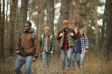 Image showing Group of friends on a camping or hiking trip in autumn day