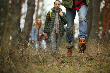 Image showing Group of friends on a camping or hiking trip in autumn day