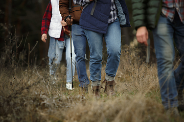 Image showing Group of friends on a camping or hiking trip in autumn day